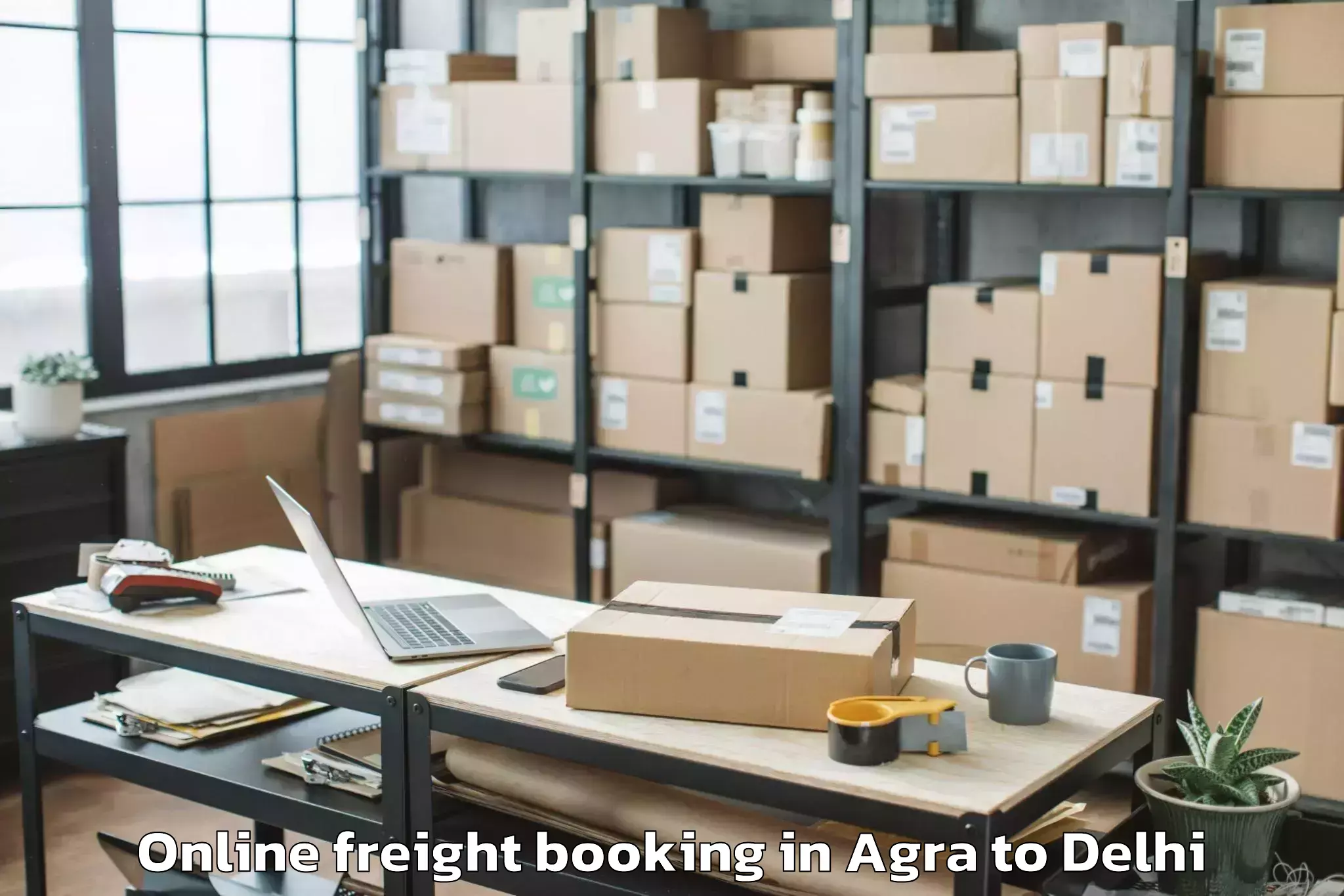 Book Agra to Unity One Mall Rohini Online Freight Booking